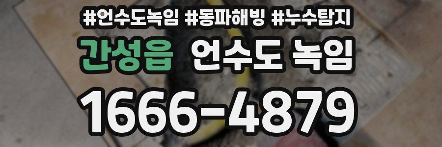 간성읍 언수도 녹임