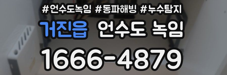 거진읍 언수도 녹임