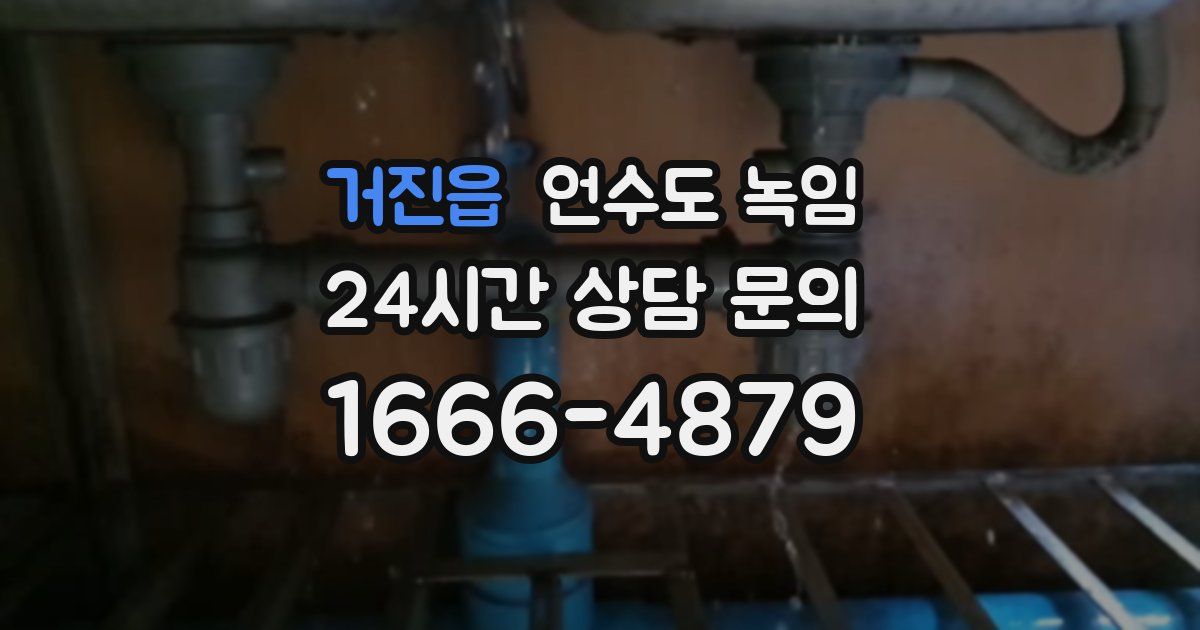 거진읍 언수도 녹임