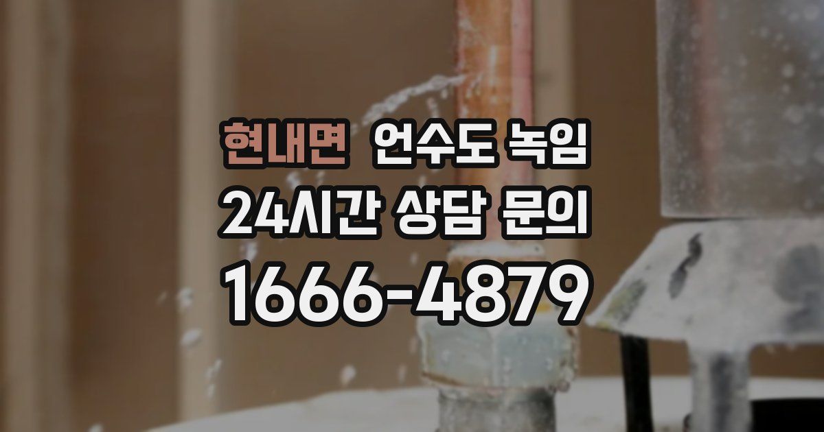 현내면 언수도 녹임