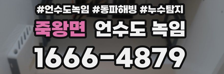 죽왕면 언수도 녹임