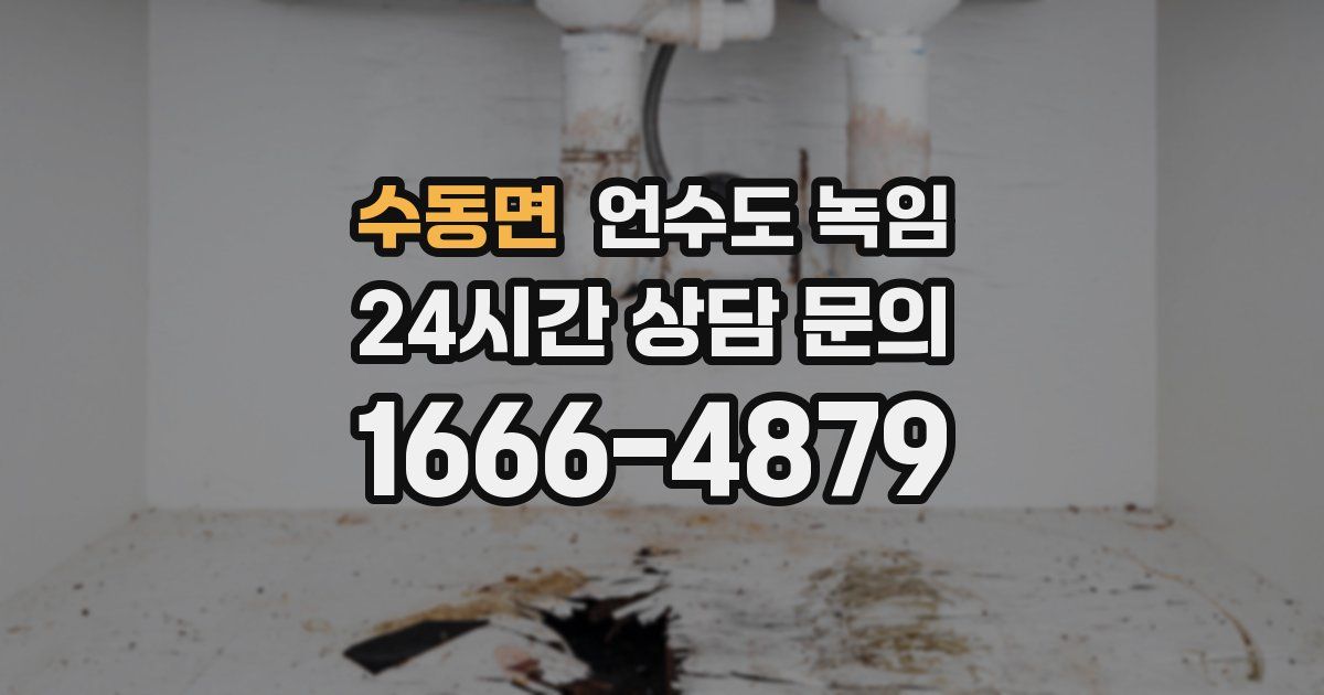 수동면 언수도 녹임