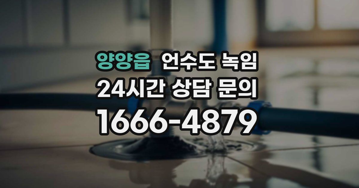 양양읍 언수도 녹임