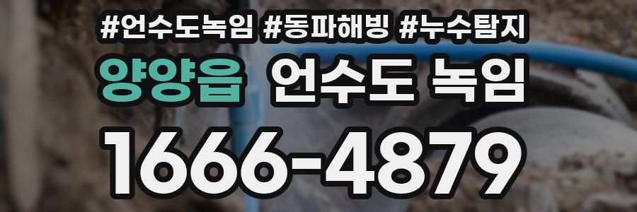 양양읍 언수도 녹임