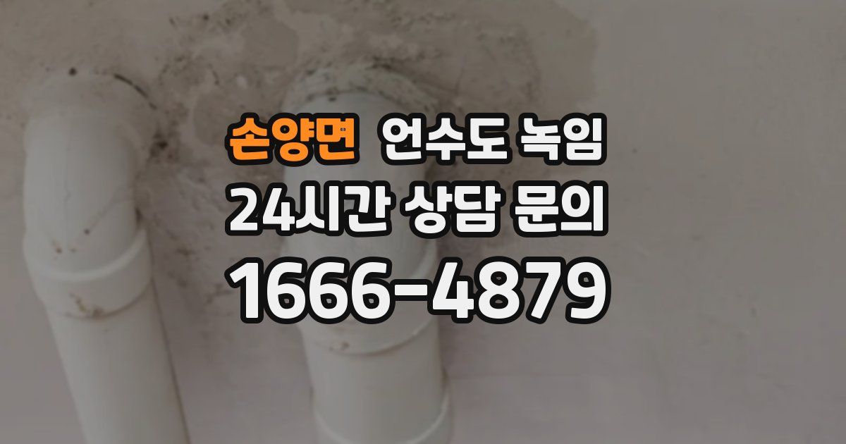 손양면 언수도 녹임