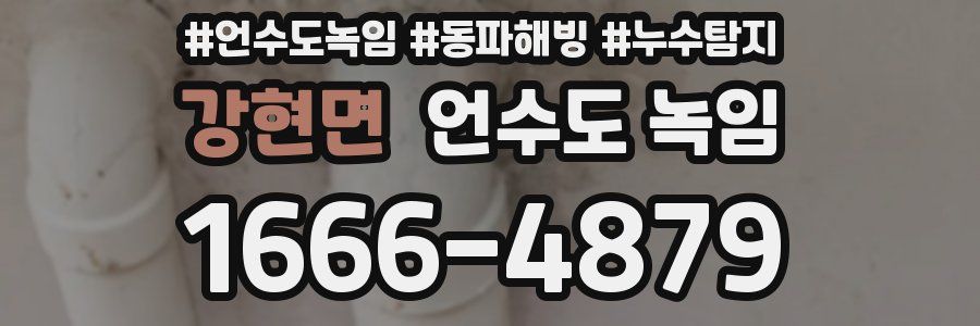 강현면 언수도 녹임