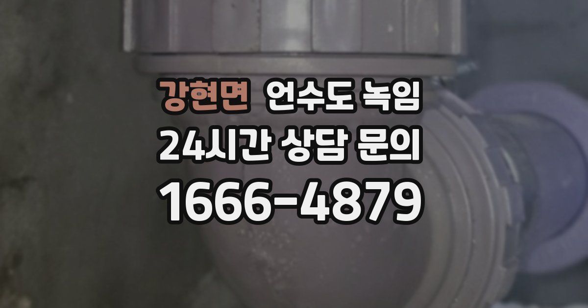 강현면 언수도 녹임