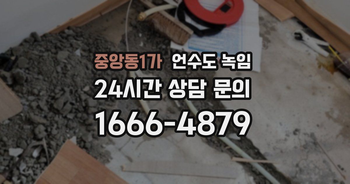 중앙동1가 언수도 녹임