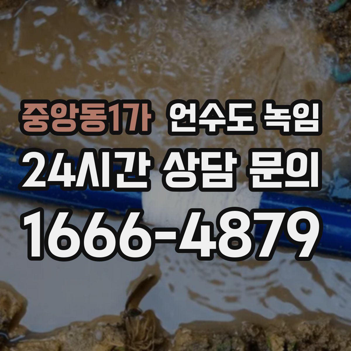 중앙동1가 언수도 녹임