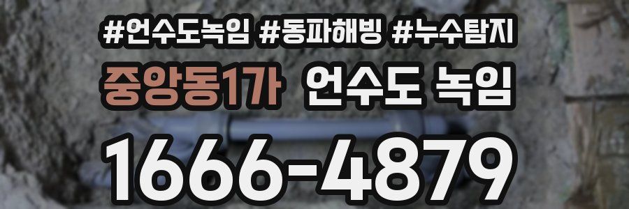 중앙동1가 언수도 녹임