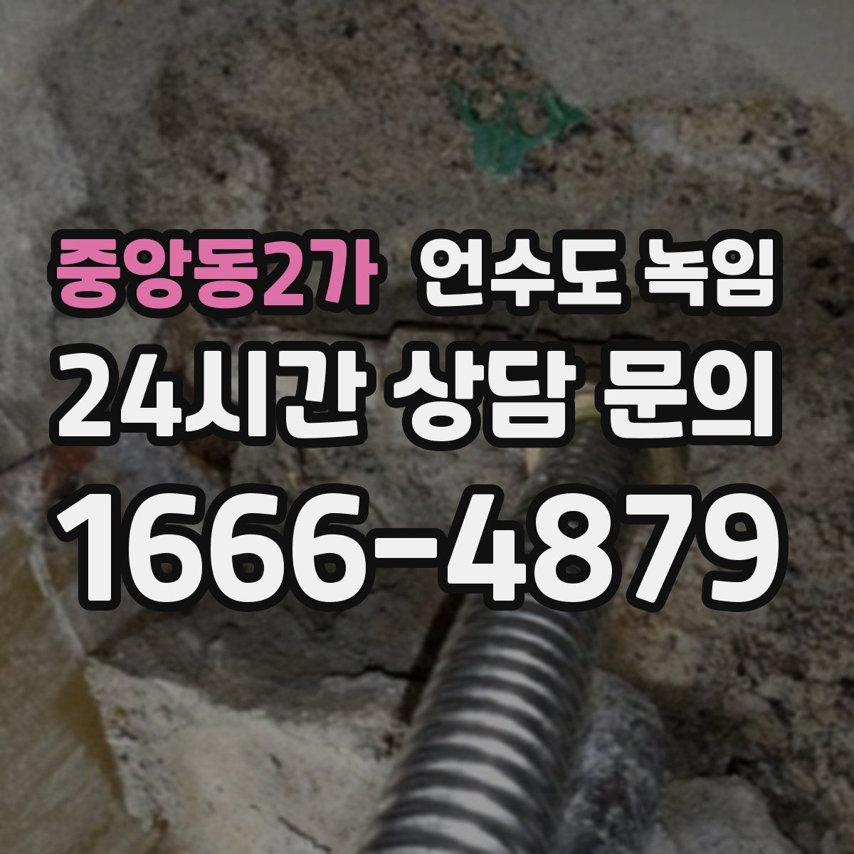 중앙동2가 언수도 녹임