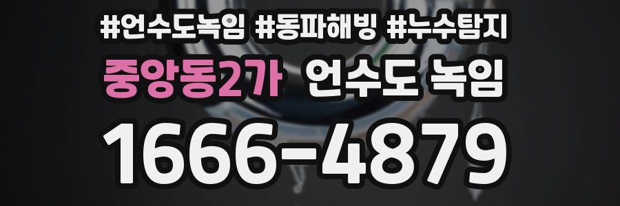 중앙동2가 언수도 녹임