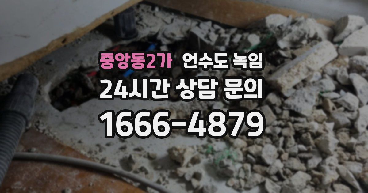 중앙동2가 언수도 녹임