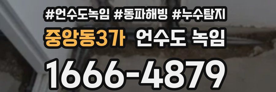 중앙동3가 언수도 녹임