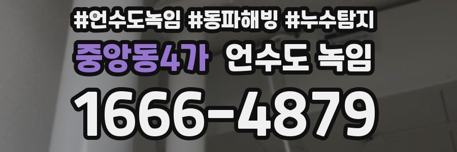 중앙동4가 언수도 녹임