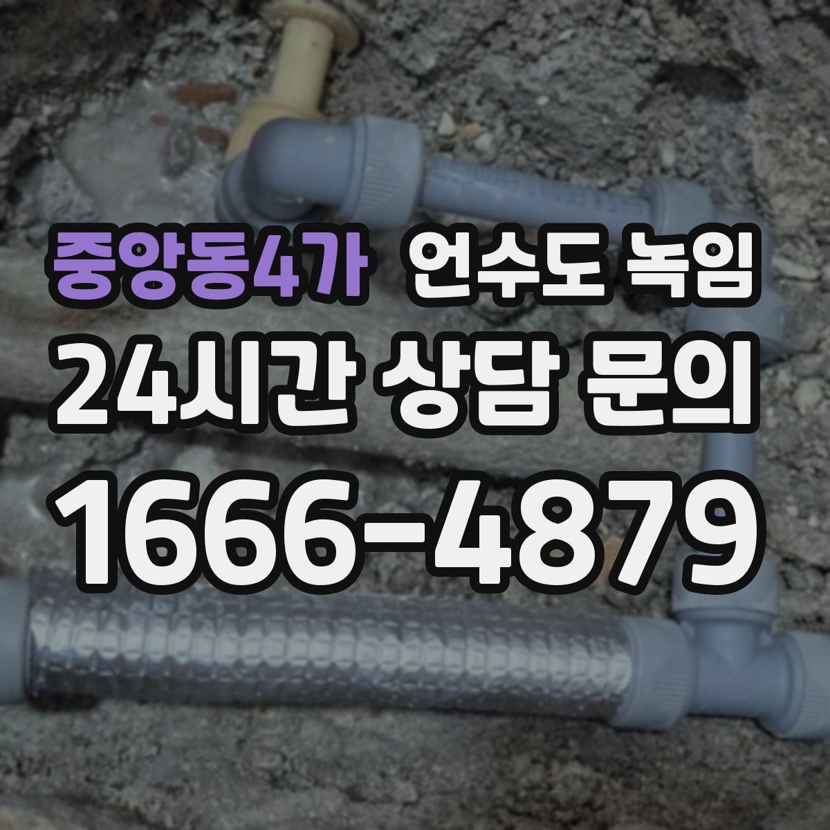 중앙동4가 언수도 녹임