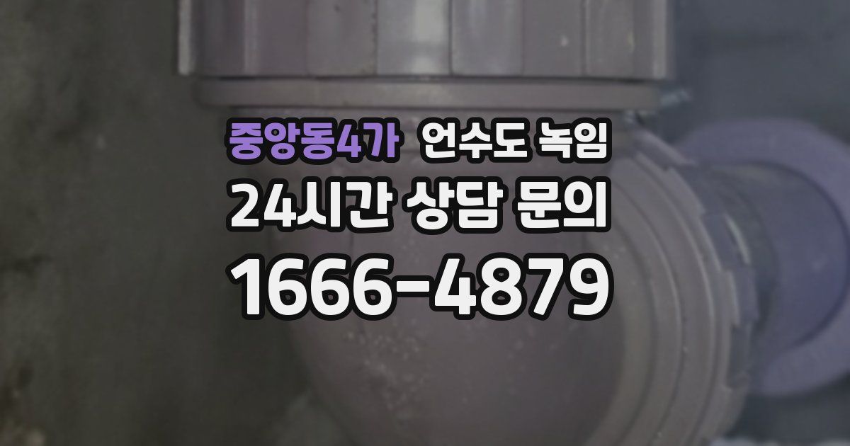 중앙동4가 언수도 녹임