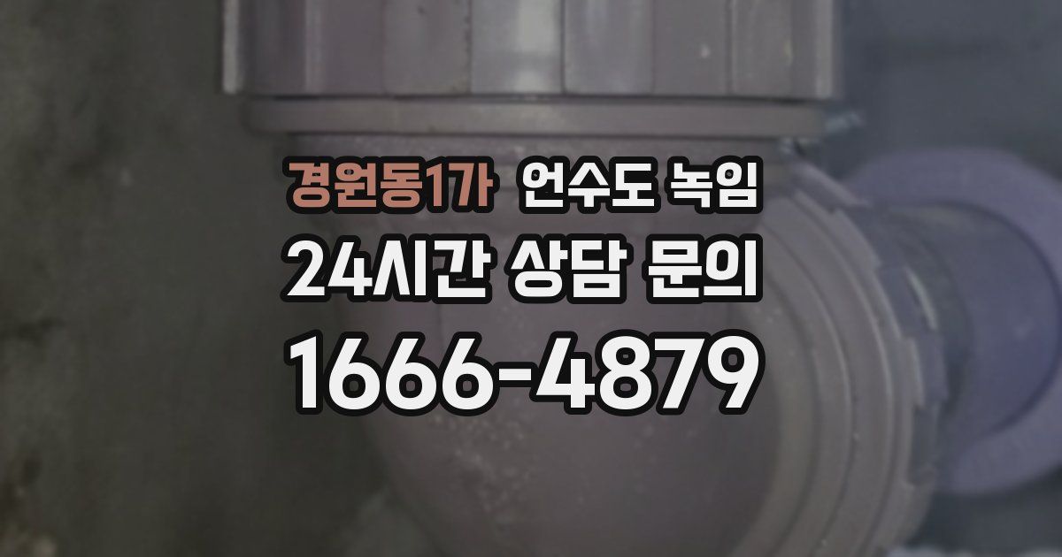 경원동1가 언수도 녹임