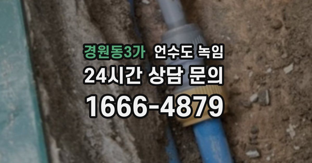 경원동3가 언수도 녹임