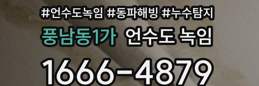 풍남동1가 언수도 녹임