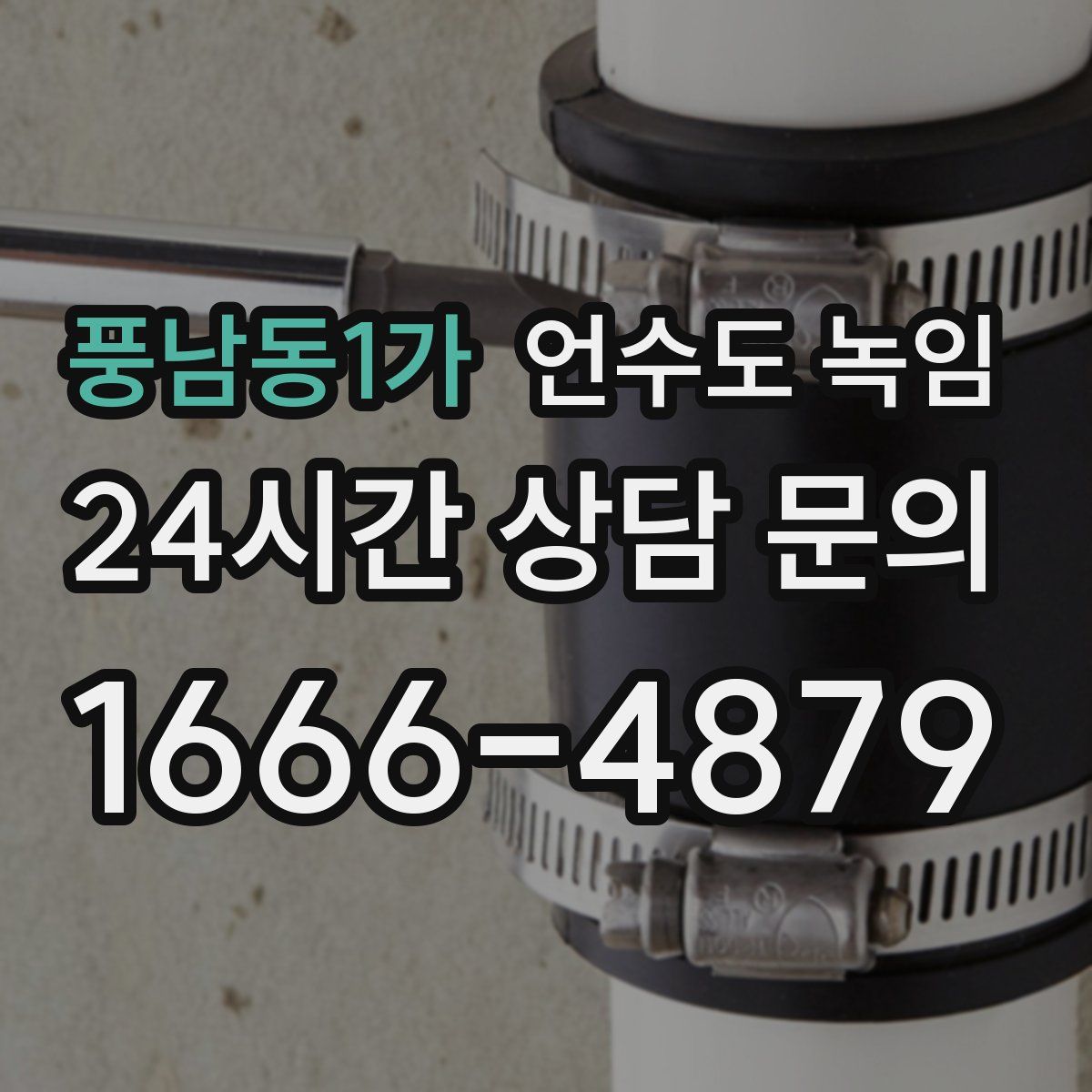 풍남동1가 언수도 녹임