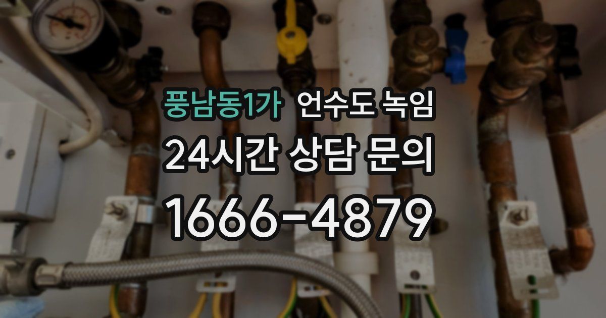 풍남동1가 언수도 녹임