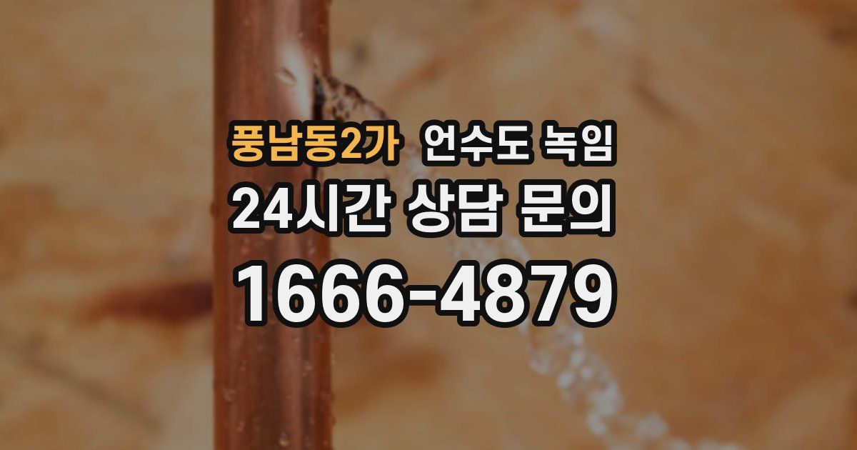 풍남동2가 언수도 녹임