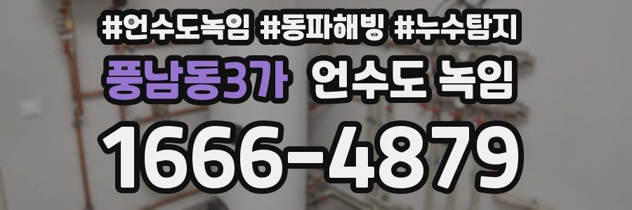풍남동3가 언수도 녹임
