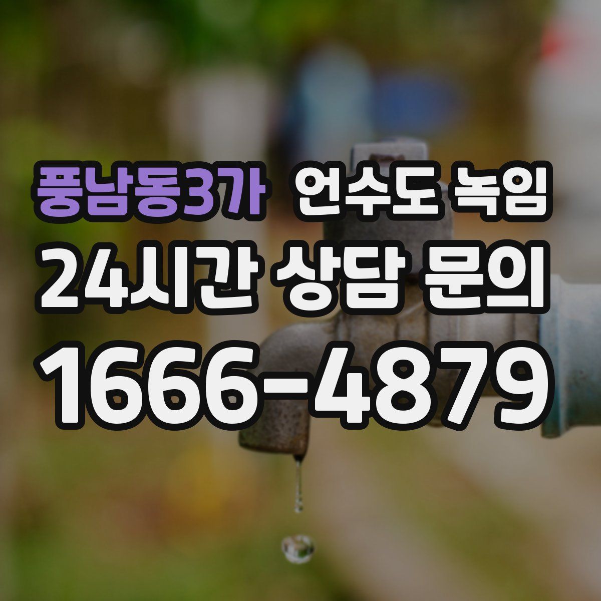 풍남동3가 언수도 녹임