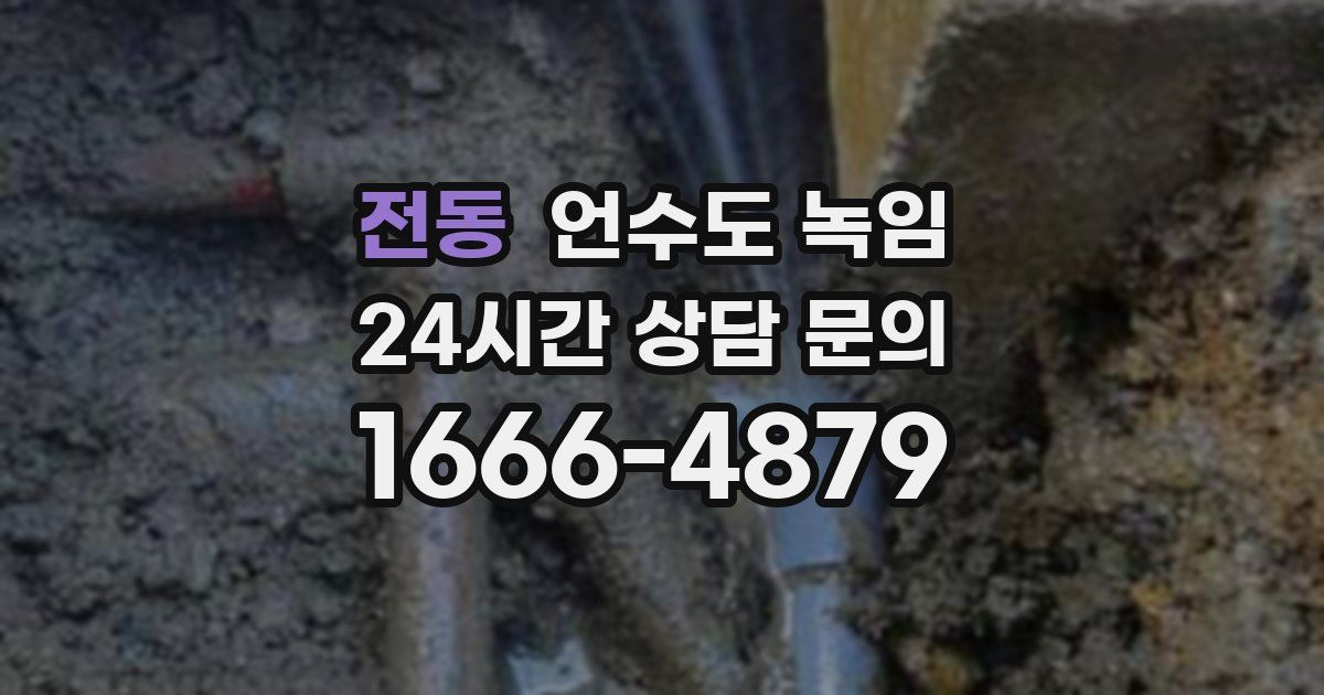 전동 언수도 녹임