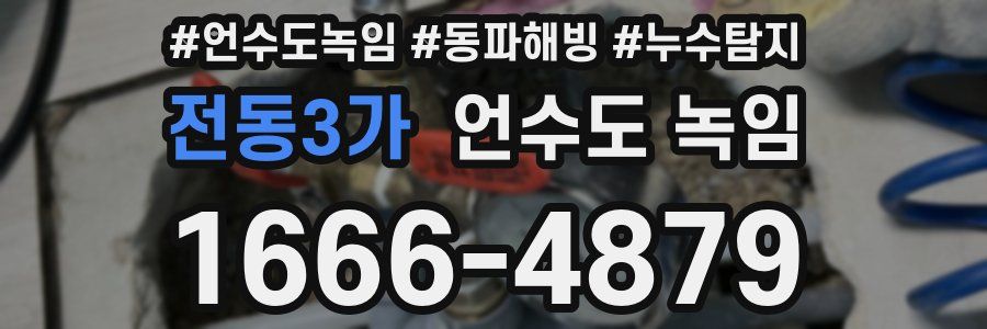 전동3가 언수도 녹임