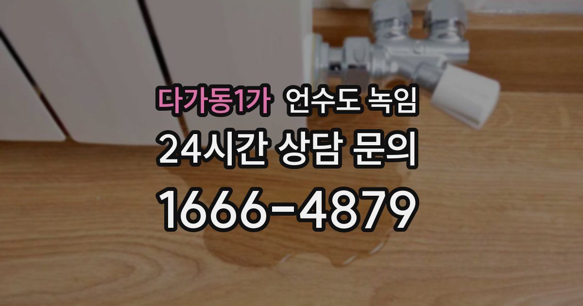 다가동1가 언수도 녹임