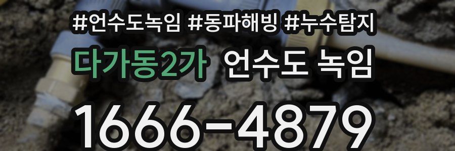 다가동2가 언수도 녹임