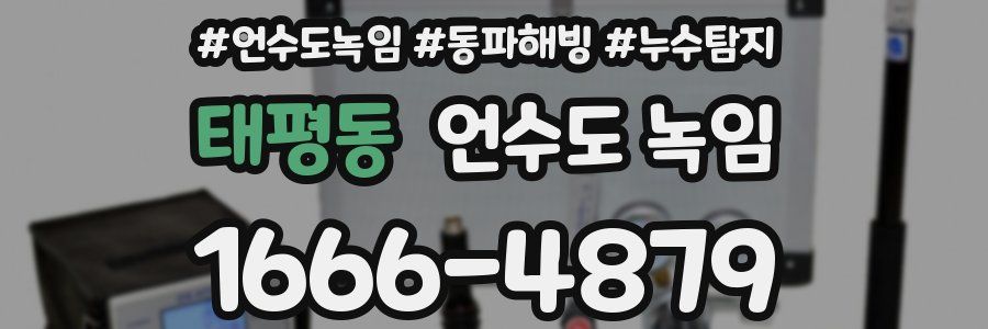 태평동 언수도 녹임