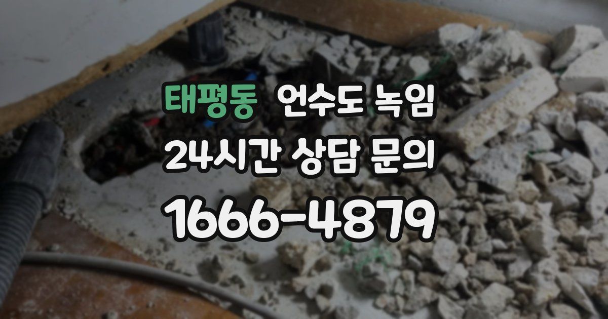 태평동 언수도 녹임