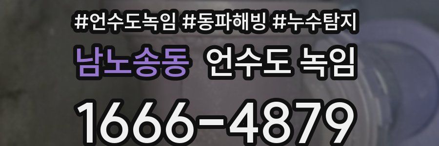 남노송동 언수도 녹임