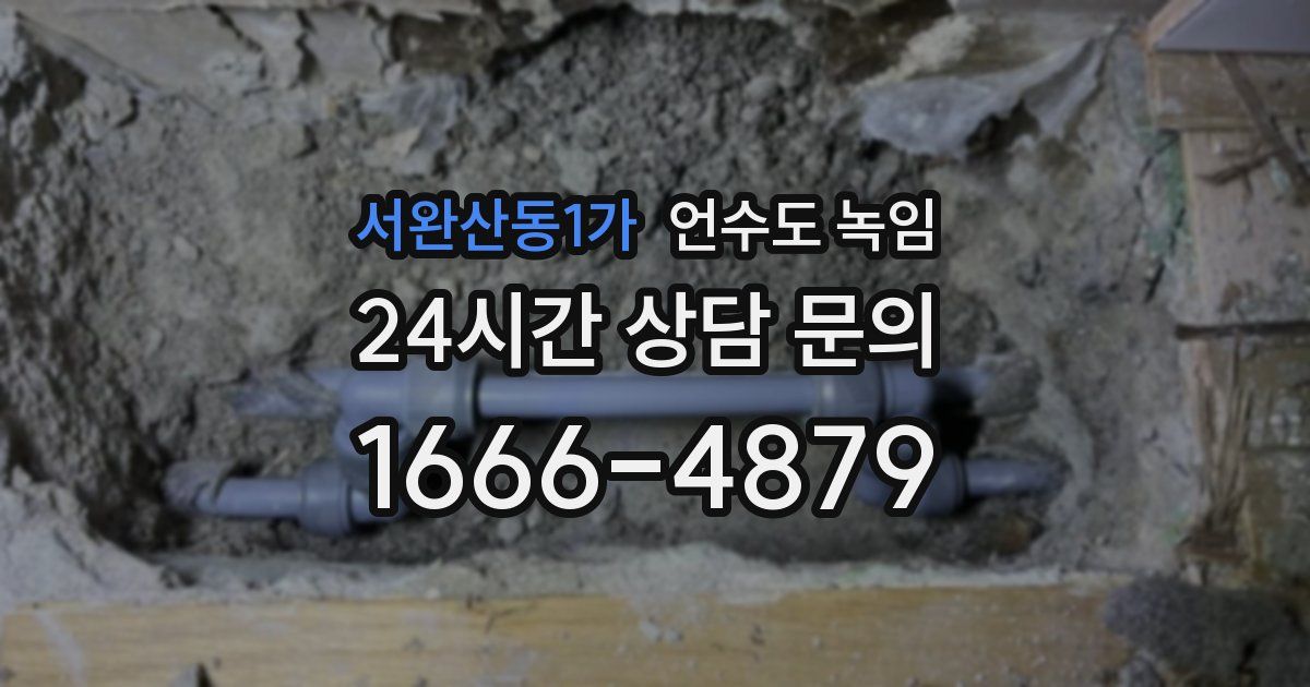 서완산동1가 언수도 녹임