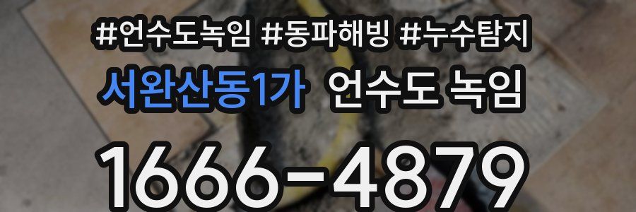 서완산동1가 언수도 녹임