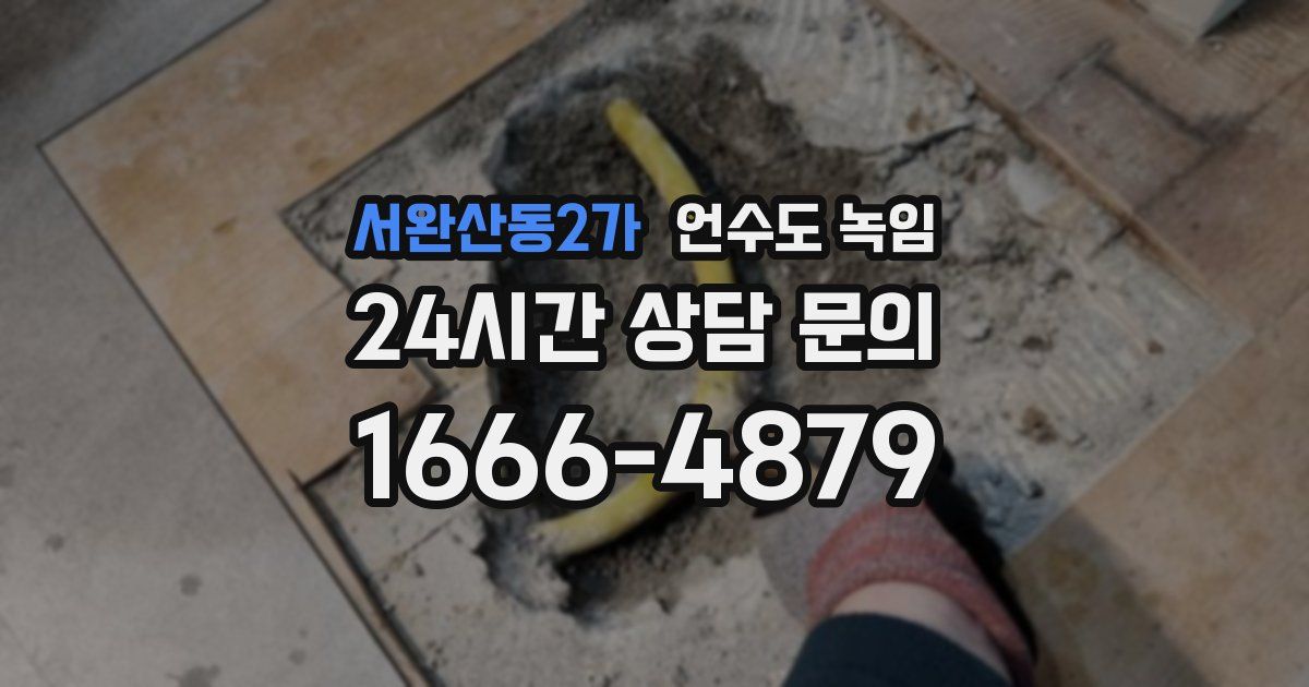 서완산동2가 언수도 녹임