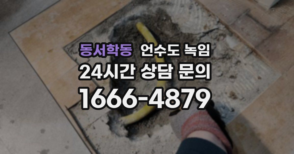동서학동 언수도 녹임