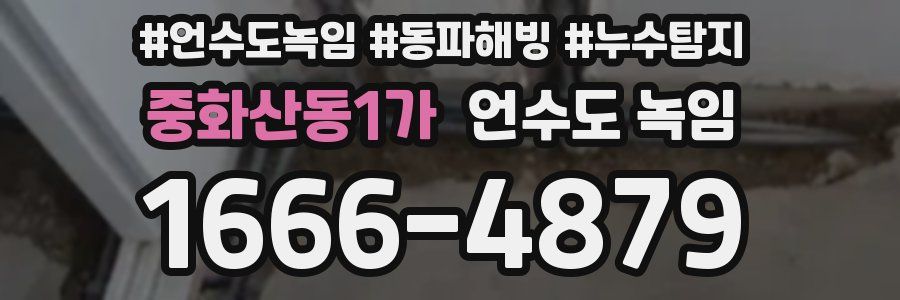 중화산동1가 언수도 녹임