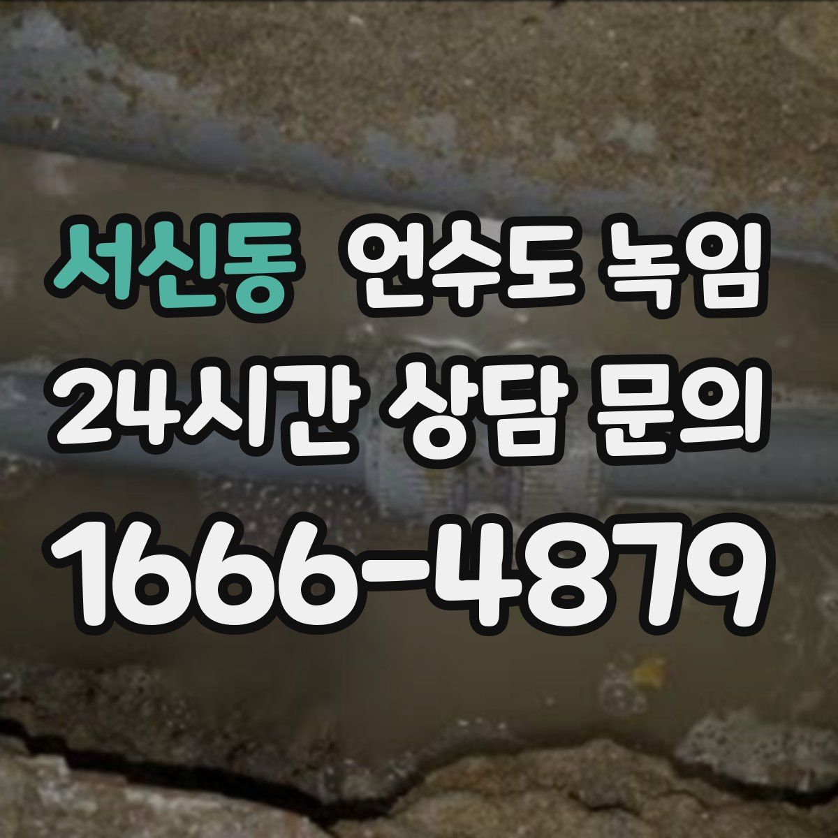 서신동 언수도 녹임