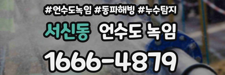 서신동 언수도 녹임