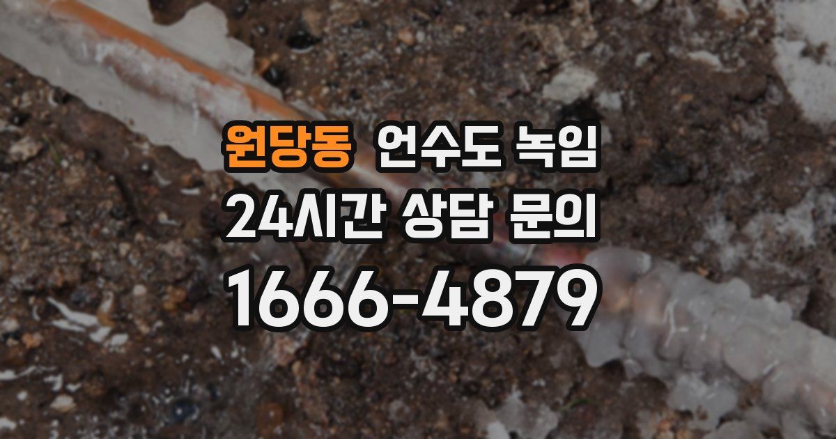 원당동 언수도 녹임