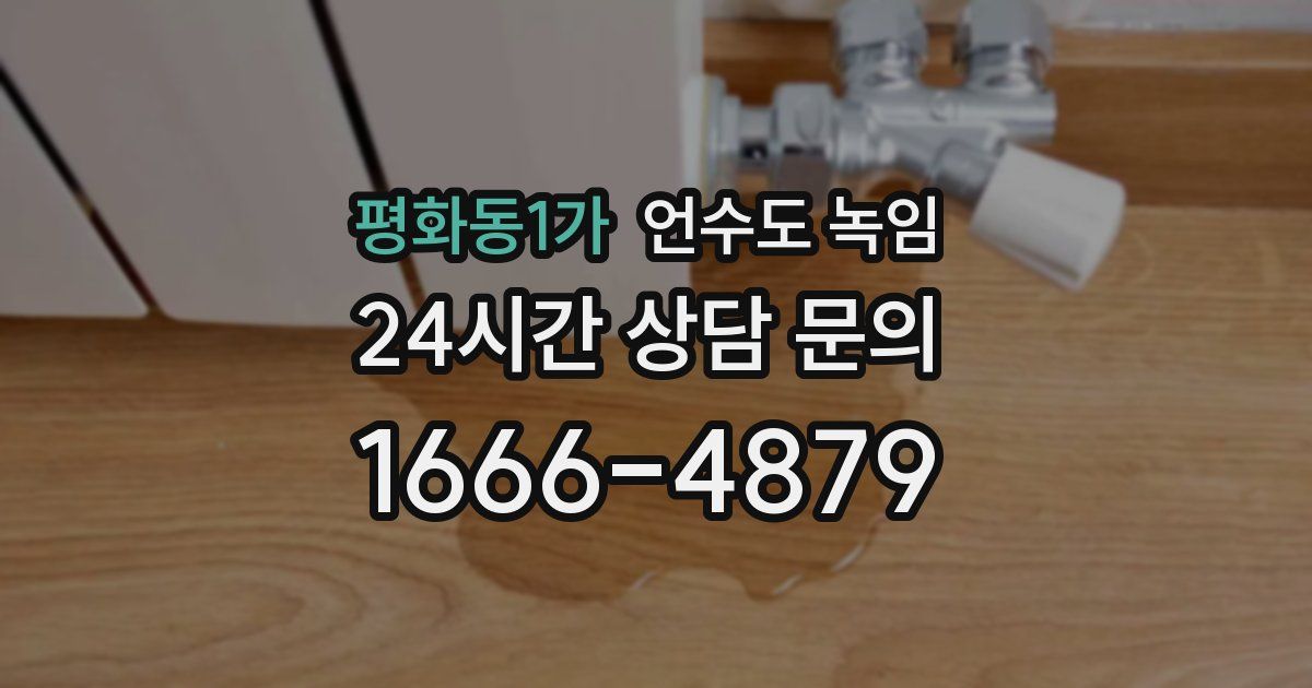 평화동1가 언수도 녹임