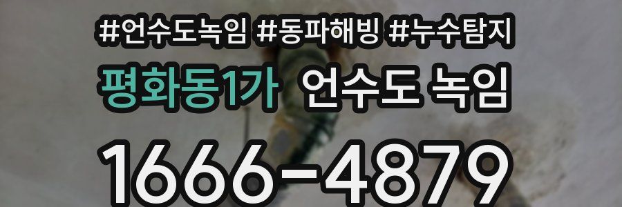 평화동1가 언수도 녹임