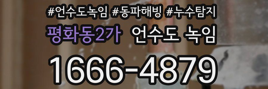 평화동2가 언수도 녹임