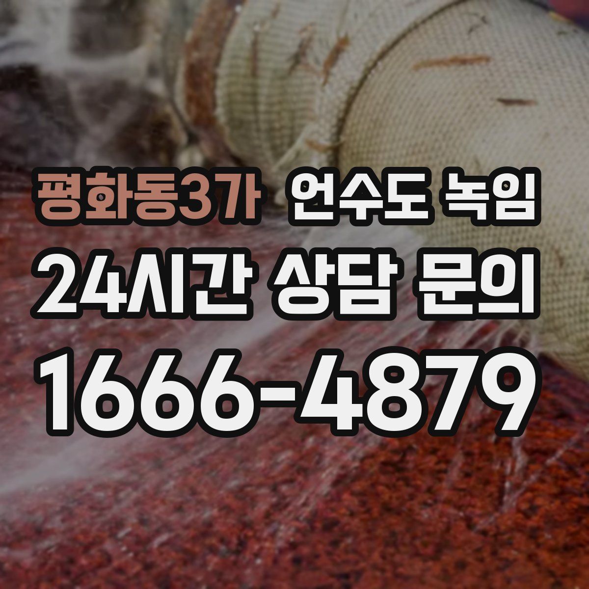 평화동3가 언수도 녹임