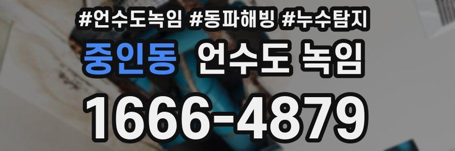 중인동 언수도 녹임