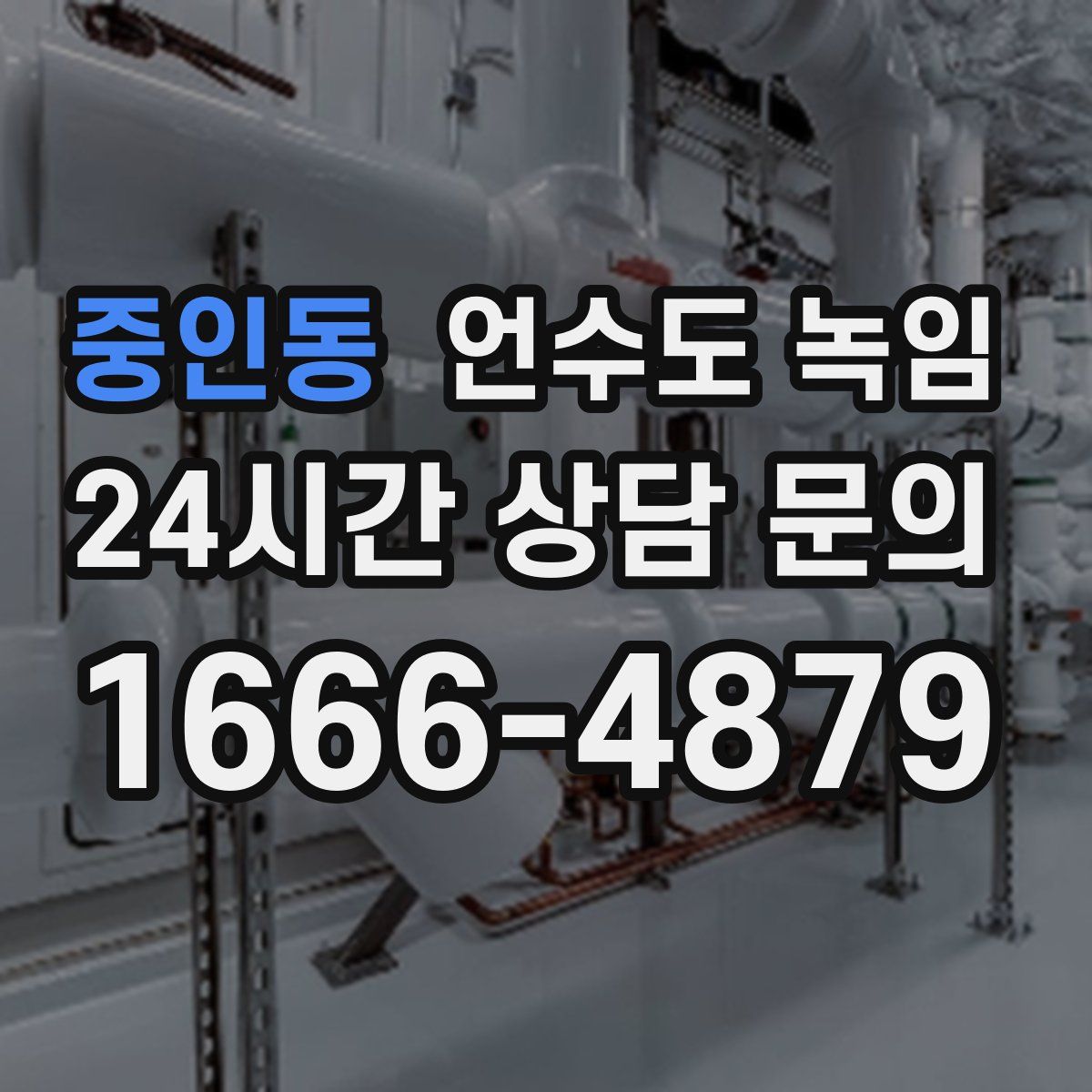 중인동 언수도 녹임